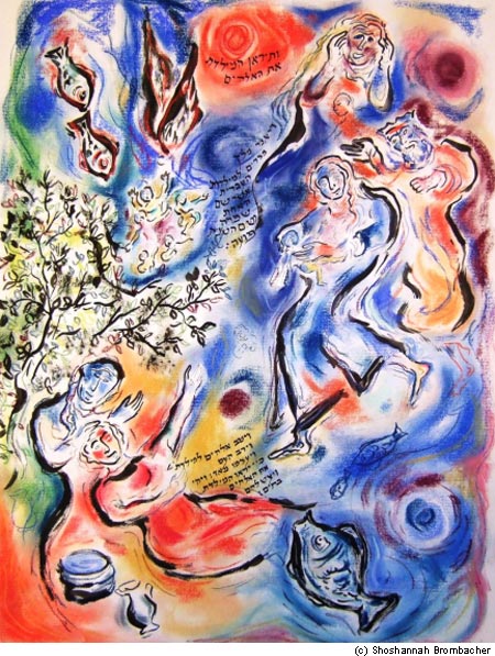 by Shoshannah Brombacher