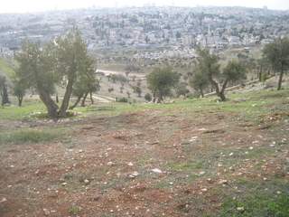 View of Emek Tzurim East Jerusalem in Background