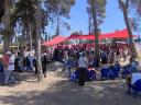 Sulha 2007