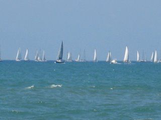 img_0705.jpg