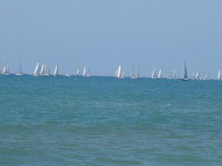 img_0706.jpg