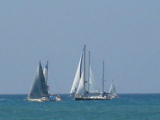 img_0708.jpg