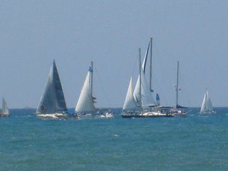 img_0709.jpg