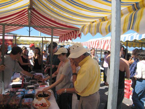 img_0860.jpg
