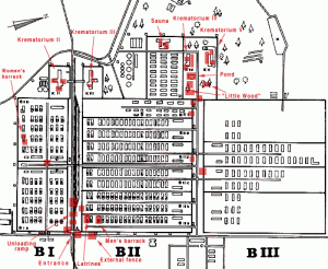 map-birkenau