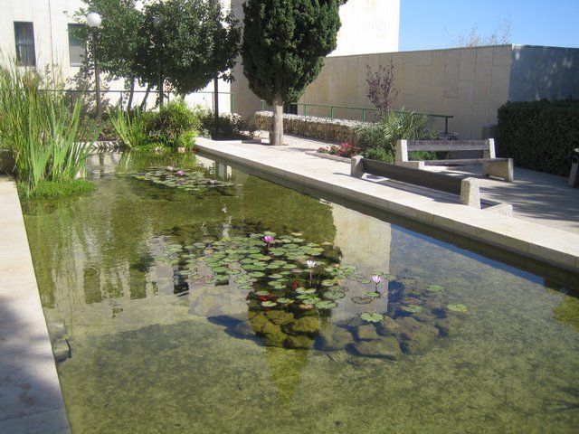 mt-scopus-outside